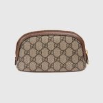グッチ コピー 〔オフィディア〕ミディアム コスメティック ケース 625551 96IWG