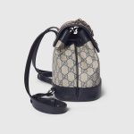 グッチスーパーコピー 〔オフィディア〕ミニ バックパック 795221 96IWN