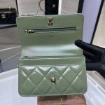 シャネルスーパーコピー チェーンウォレット ショルダー AP4166 B17675 シャネルスーパーコピー チェーンウォレット ショルダー AP4166 B17675