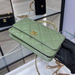 シャネルスーパーコピー チェーンウォレット ショルダー AP4166 B17675 シャネルスーパーコピー チェーンウォレット ショルダー AP4166 B17675