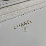 シャネル スーパーコピー チェーンウォレット アジャスター付き AP3938 シャネル スーパーコピー チェーンウォレット アジャスター付き AP3938