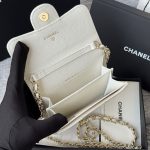 シャネル チェーンウォレット スーパーコピー ミニ財布 AP0238 シャネル チェーンウォレット スーパーコピー ミニ財布 AP0238