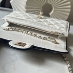 CHANEL スーパーコピー チェーンウォレット バイカラー バッグ AP4511