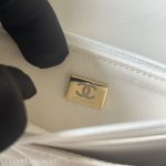 CHANEL スーパーコピー チェーンウォレット バイカラー バッグ AP4511