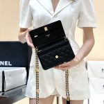 シャネル コピー 22A メティエダール ゴールドコイン WOC ブラック AP2840