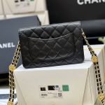 シャネル コピー 22A メティエダール ゴールドコイン WOC ブラック AP2840