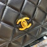 シャネル スーパーコピー  ビッグパール WOC チェーンバッグ AP1450