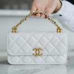 シャネル スーパーコピー Mini WOC チェーンバッグ AP3021 ホワイト シャネル スーパーコピー Mini WOC チェーンバッグ AP3021 ホワイト