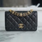 シャネル スーパーコピー WOC チェーンバッグ AP3019