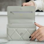 シャネル スーパーコピー 19 WOC チェーンウォレット AP0957 グレー シャネル スーパーコピー 19 WOC チェーンウォレット AP0957 グレー