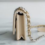 シャネル スーパーコピー 19 WOC チェーンウォレット AP0957 ベージュ シャネル スーパーコピー 19 WOC チェーンウォレット AP0957 ベージュ