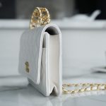 シャネル スーパーコピー ハンドル付き チェーンウォレット AP2804 シャネル スーパーコピー ハンドル付き チェーンウォレット AP2804