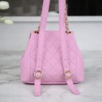 シャネル スーパーコピー 23P DUMA ミニバックパック AS3787