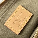 ルイヴィトン スーパーコピー バギーPM ショルダーバッグ M95213