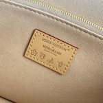 ヴィトン コピー LV × TM ダイアン PM ショルダーバッグ M27866